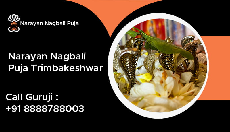 Narayan Nagbali Puja Trimbakeshwar