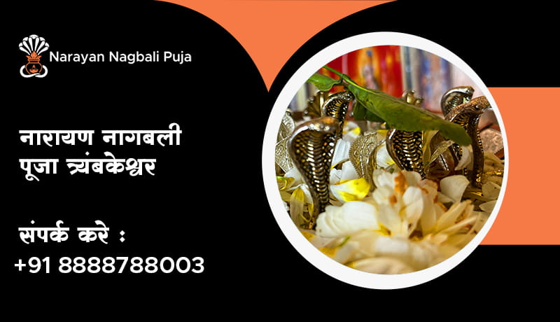 नारायण नागबली पूजा त्र्यंबकेश्वर