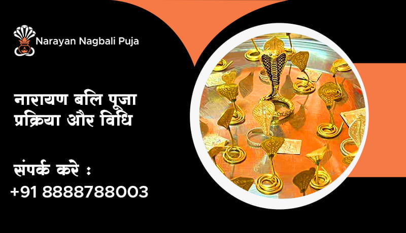 नारायण बलि पूजा प्रक्रिया और विधि